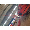 Double Girder Overhead Crane Special Export Other Country